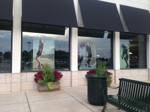 Gus Mayer Window Graphics