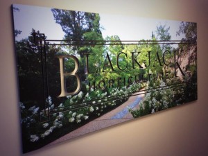 Blackjack Horticulture