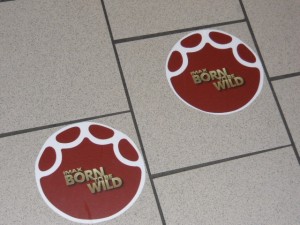 Floor Graphics