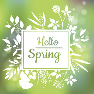 spring graphics